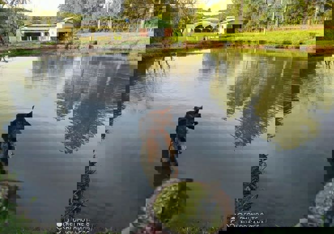 Imagem de destaque da página